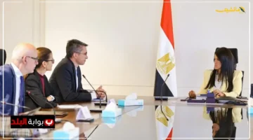 بشأن مستقبل الاقتصاد.. المشاط تناقش مع البنك الدولي خطة لتعزيز المالية العامة والنمو 1